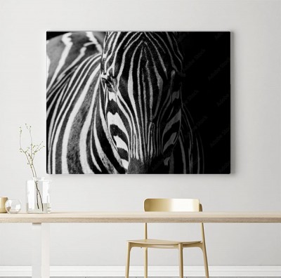 Obraz na płótnie zebry