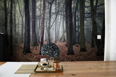 Fototapeta Mgła w lesie