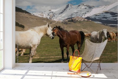 Fototapeta Para zakochanych koni