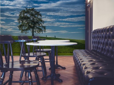 Fototapeta Zielony pomnik przyrody