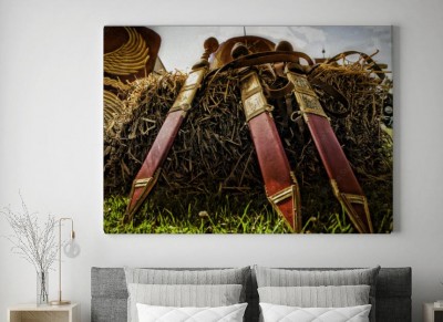 Obraz na płótnie Gladius Hispaniensis - Miecze rzymskie