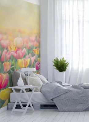 Fototapeta Kolorowe pola tulipanów w akwareli