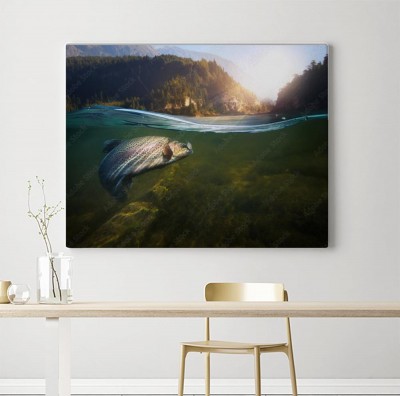 Obraz na płótnie Ryba pod taflą jeziora