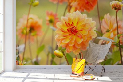 Fototapeta Piękne jesienne kwiaty dalii