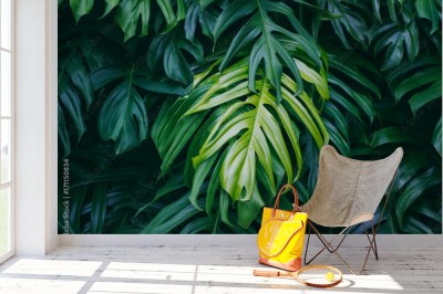 Fototapeta z wzorem w ciemne tropikalne liście