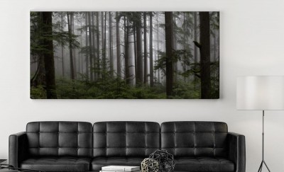 Obrazy do salonu mroczny las w Canadzie