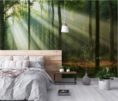 Fototapeta Poranne światło w lesie