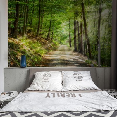 Fototapeta Zielony las latem z promieniami słońca