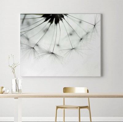 Obraz na płótnie Mlecz w skali makro