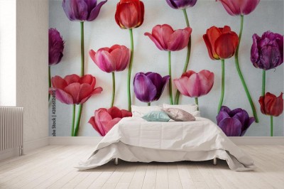 Fototapeta Kompozycja kwiatowa z kolorowych kwiatów tulipanów na białym tle