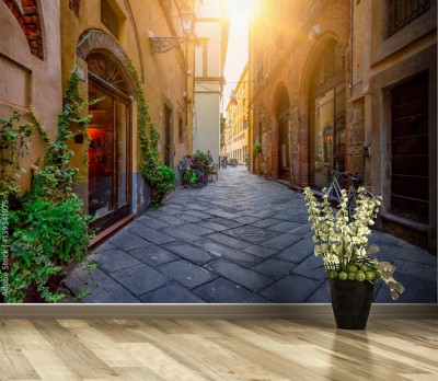 Fototapeta Wąska brukowana uliczka