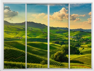 Naklejka na szafę Widok włoskich winnic letnią porą roku