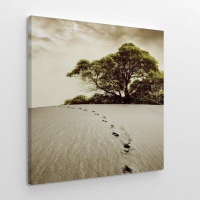 fotolia-11108613-subscription-monthly-xxl