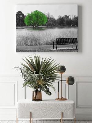 Obraz na płótnie Zielone drzewo w czarno-białej scenerii krajobrazowej z pustą ławką w parku z widokiem na wodę