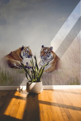 Fototapeta Dwa tygrysy