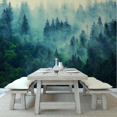 Fototapeta Las osnuty gęstą mgłą w górskim krajobrazie