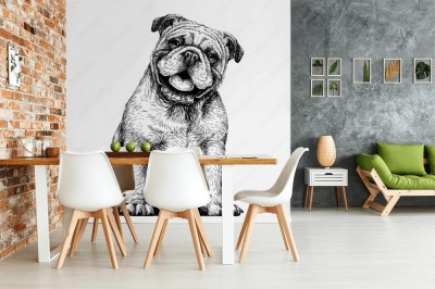 Fototapeta Portret - Bulldog z piłką