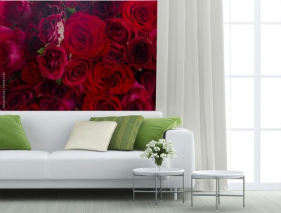 Fototapeta Stos czerwonych róż
