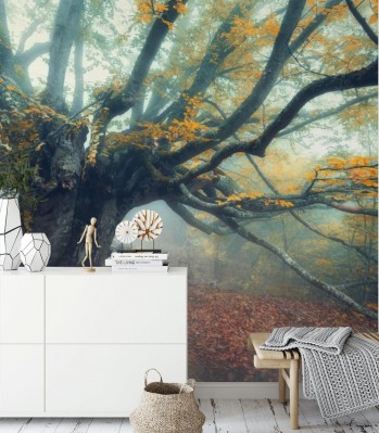 Fototapeta Stare magiczne drzewo z dużymi gałęziami i pomarańczowymi liśćmi