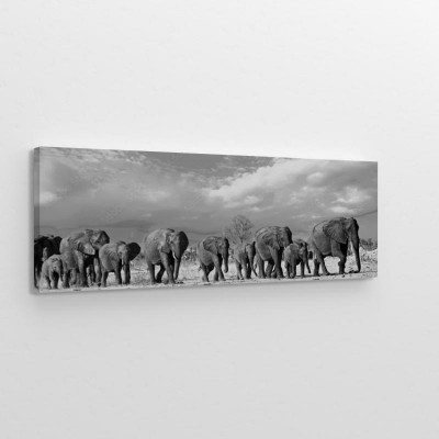 Obraz na płótnie Panorama  stada słoni spacerujących po równinach afrykańskich