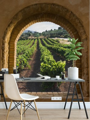 Fototapeta Łukowate Okno Na Winnicy