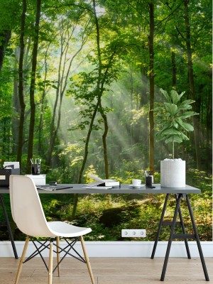 Fototapeta Poranne światło słoneczne promieniejące przez mglisty las