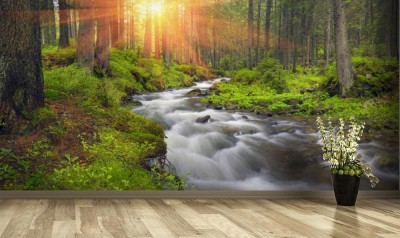 Fototapeta Rzeka Prut w dzikim lesie