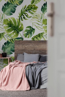 Tapeta Liście tropikalnych roślin