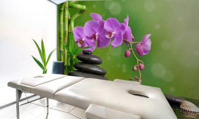 Fototapeta Storczyk z kamieniami bazaltowymi i muszlami