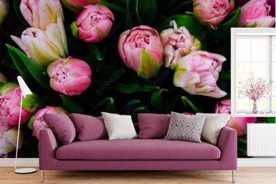 Fototapeta Świeże różowe tulipany