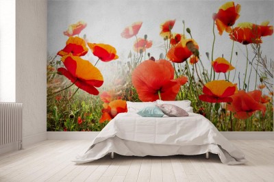 Fototapeta Maki na białym niebie