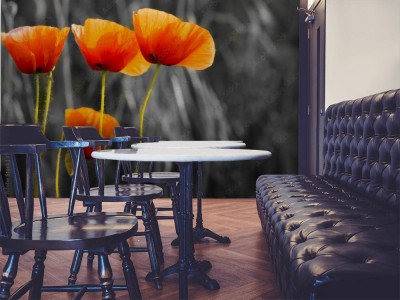 Fototapeta Maki polne - kolor selektywny