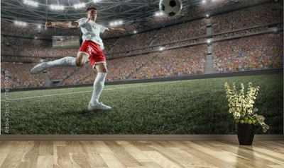 Fototapeta Z pierwszej piłki