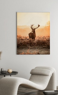 Obraz na płótnie Jeleń na otwartej przestrzeni
