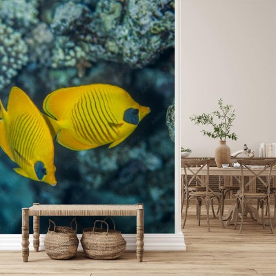 Fototapeta Morskie spacery