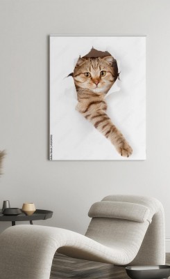 Obraz na płótnie Kotek urwisek