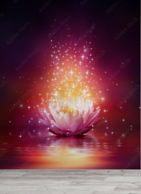 Fototapeta Magiczny kwiat na wodzie