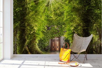 Fototapeta Mistyczne miejsce w lesie