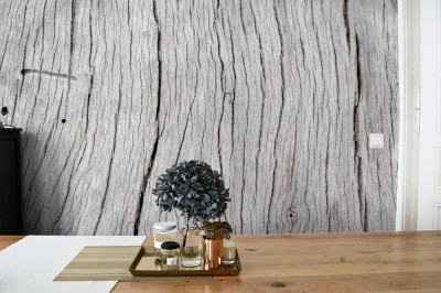 Fototapeta Stary pień drzewa 