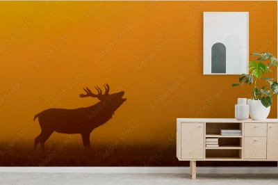 Fototapeta Sylwetka jelenia w porannej mgle
