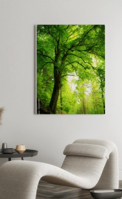 Obraz na płótnie Majestatyczny drzewo w zielonym lesie