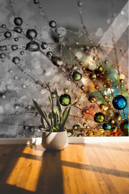 Fototapeta Kolorowa natura