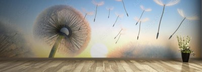 Fototapeta Mlecze - wieczorny nastrój