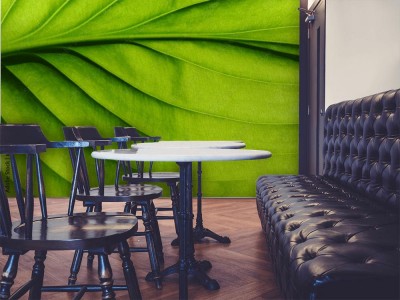 Fototapeta tekstura zielony liść