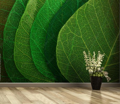 Fototapeta Zielone liście na makro fotografii