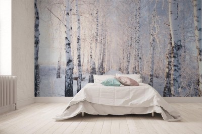 Fototapeta Krajobraz zimowego brzozowego lasku