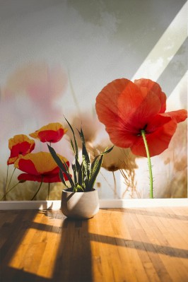 Fototapeta Maki są zawsze modne