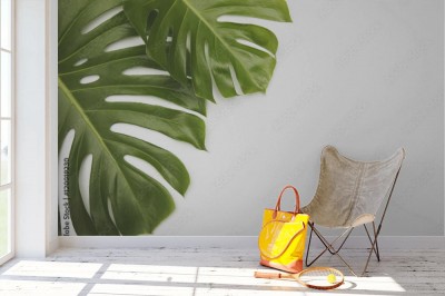 Fototapeta Duży zielony tropikalny liść egzotycznej rośliny monstera