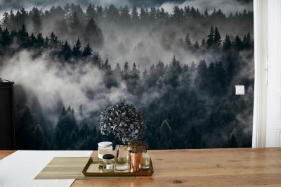 Fototapeta Gęsta mgła w alpejskim krajobrazie