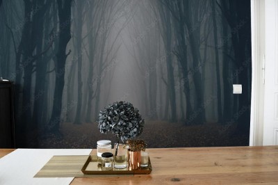 Fototapeta Mroczna leśna ścieżka we mgle